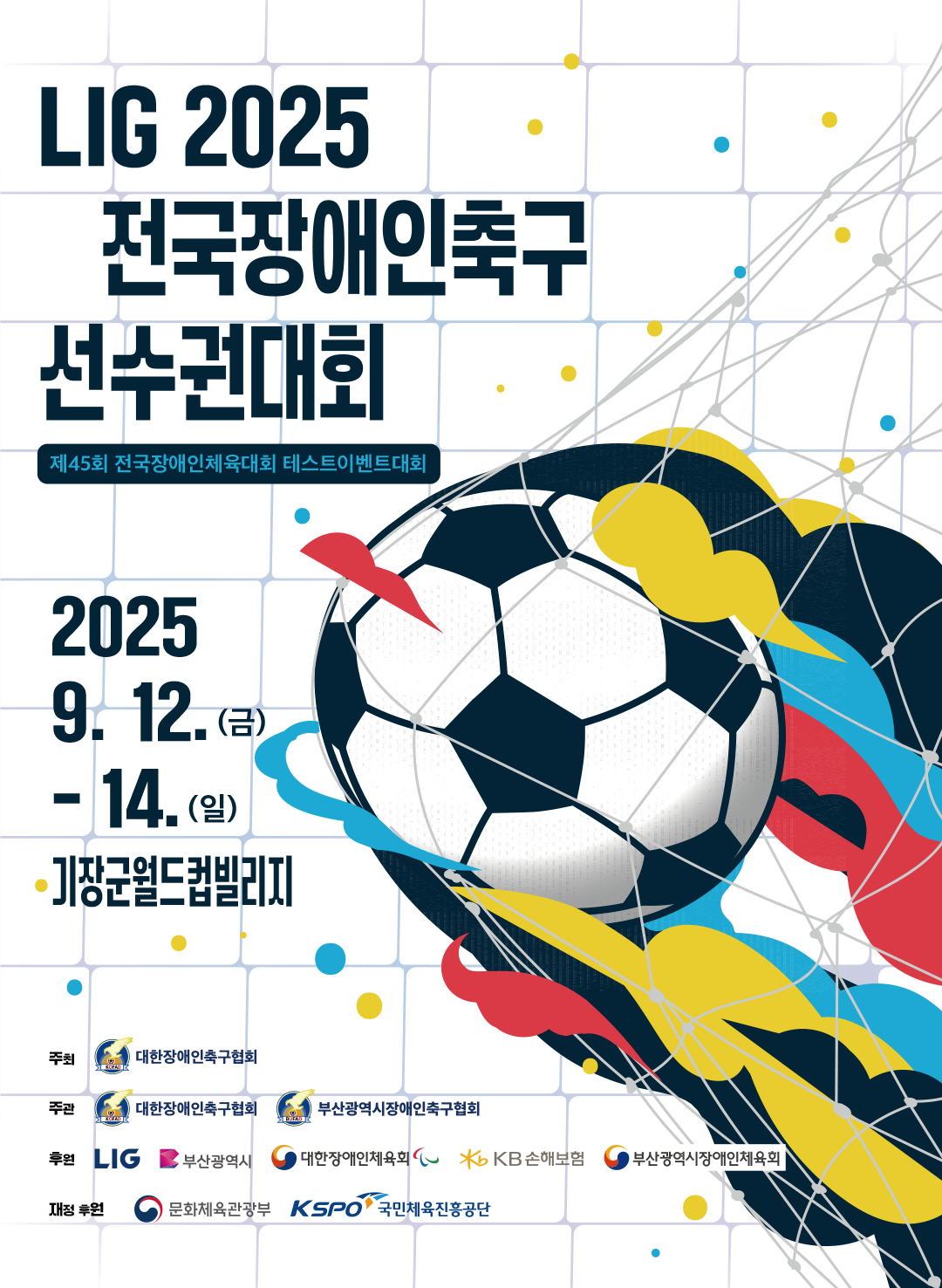대한장애인축구협회